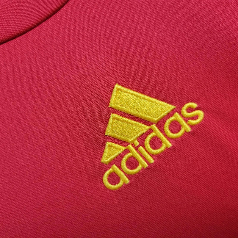 Spain Fernando Torres 9 Retro Home Soccer Jersey World Cup 2010