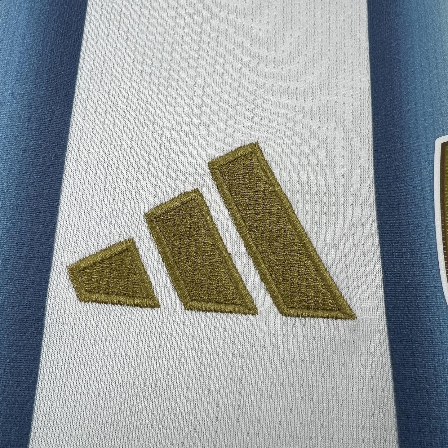 Argentina Diego Maradona 10 Home Soccer Jersey World Cup 2026