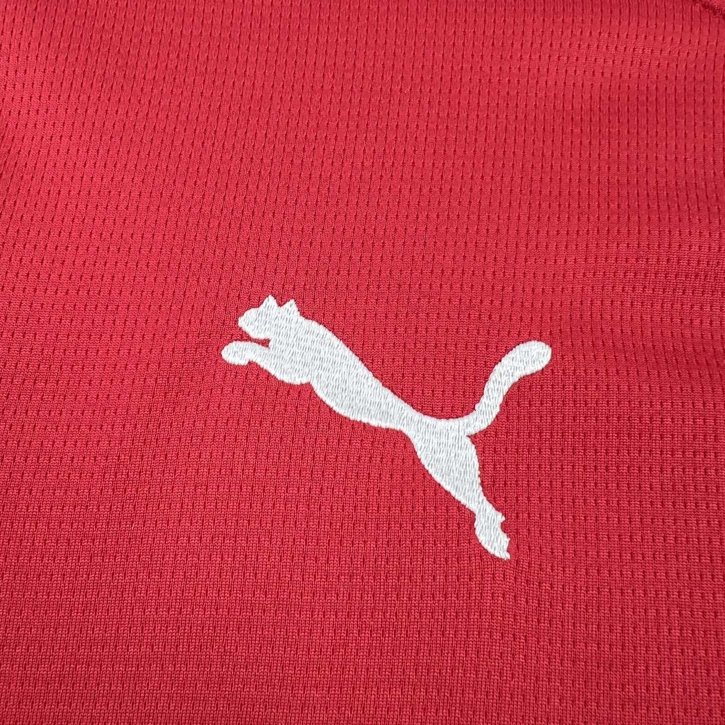 Czech Republic Home Soccer Jersey World Cup 2026
