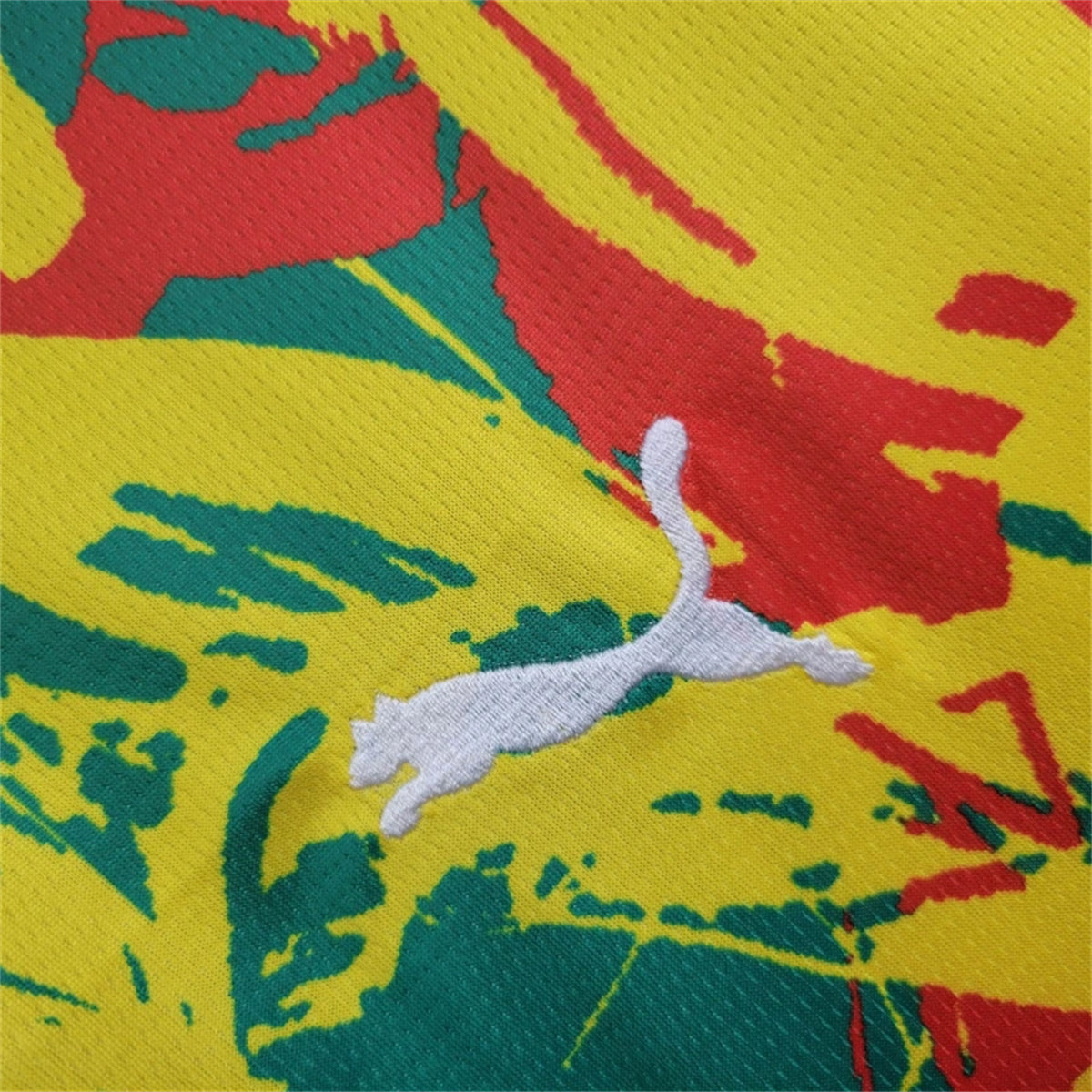 Senegal Per-Match Training Shirt 2024/25