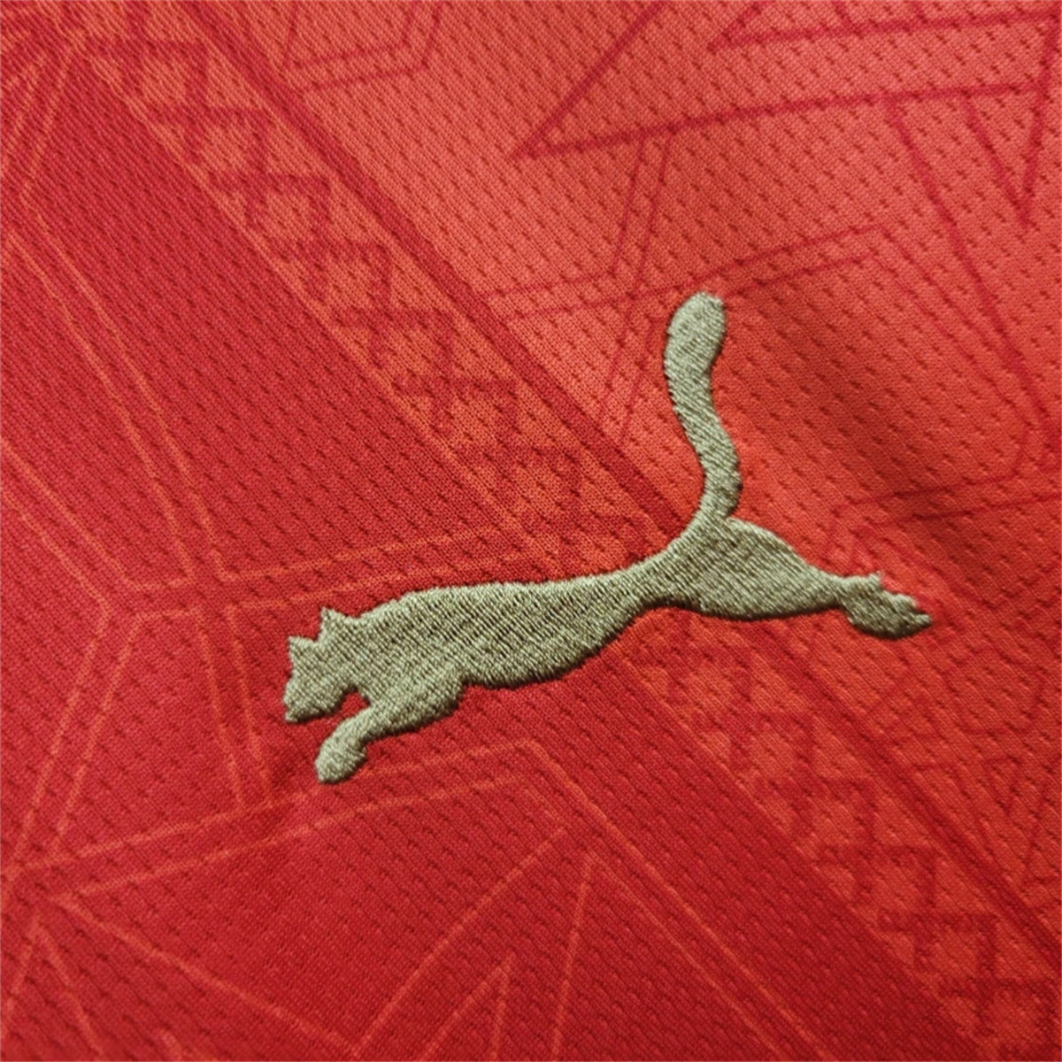 Morocco Home Soccer Jersey 2024/25