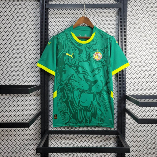Senegal Away Soccer Jersey 2024/25