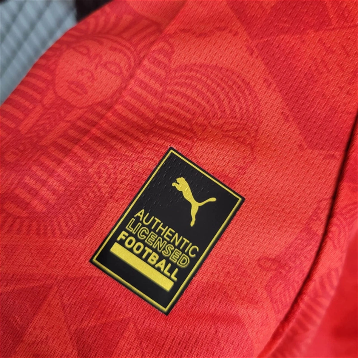 Egypt Home Soccer Jersey 2024/25